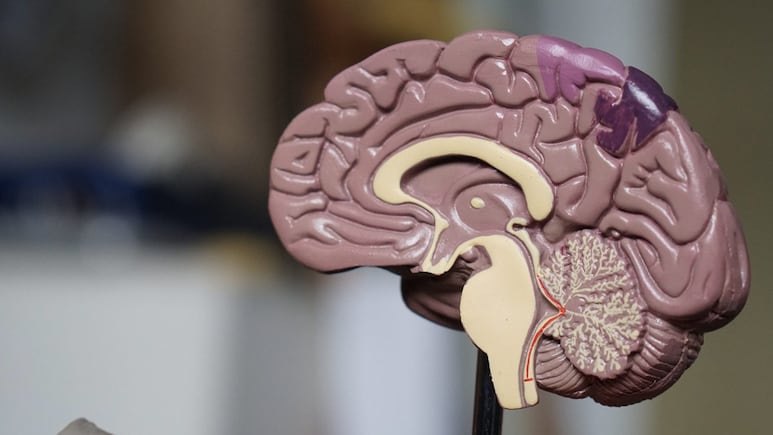 Dementia Takes 3.5 Years To Diagnose, Says Study; 9 Early Symptoms To Watch Out For