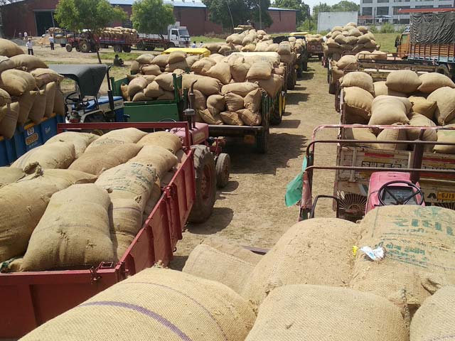 Rice Prices In Asia At Almost 12-Year High