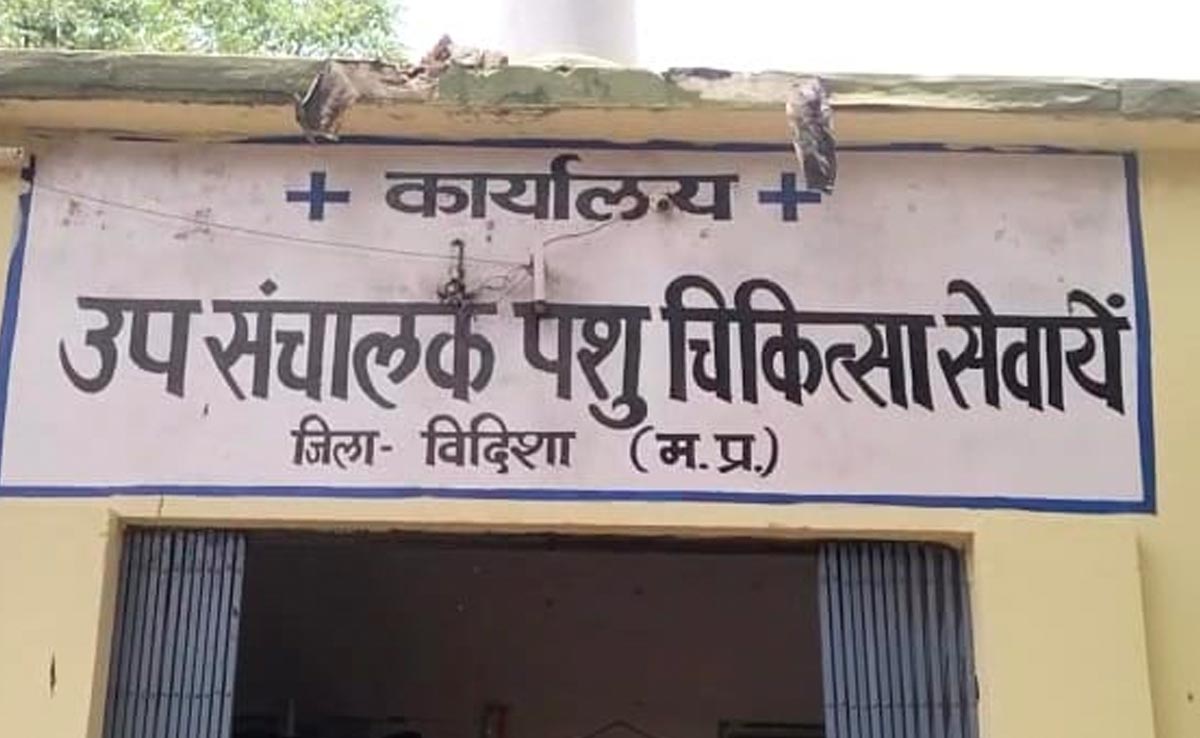 विदिशा : पशुपालन विभाग में पेड़ कटने से सैकड़ों बगुलों की मौत, राष्ट्रीय जीव जंतु बोर्ड पहुंचा मामला