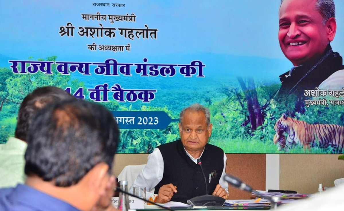 अमृता देवी के नाम पर होगा राज्य जीव-जन्तु कल्याण बोर्ड का नाम, मुख्यमंत्री ने की घोषणा