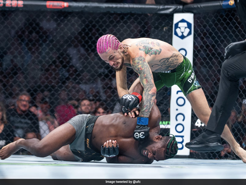 "I'm A King, I Pay For Everything": UFC Star Claims He Gets Pass For Cheating On Wife