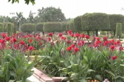 16 अगस्त से फिर खुलेगा अमृत उद्यान, पहली बार साल में दूसरी बार खुलेगा  16 अगस्त से फिर खुलेगा अमृत उद्यान, पहली बार साल में दूसरी बार खुलेगा