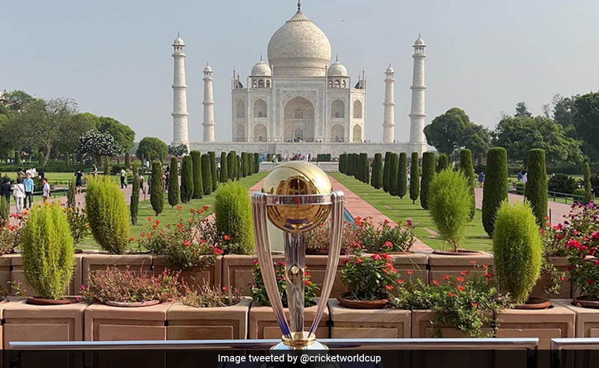 Global Giants Likely To Spend Rs 3 Lakh/Second On Cricket World Cup Ads