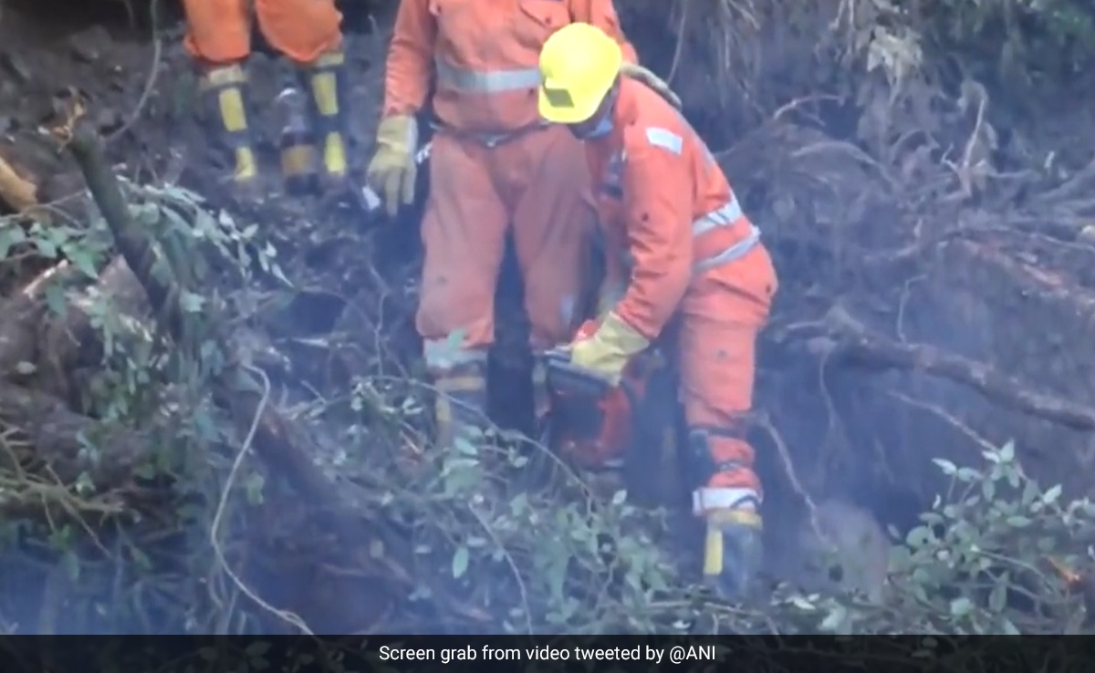 "Will We Also Die": Man Recalls Chat With Daughter During Shimla Rains