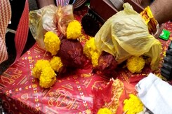 MP के Vidisha में मेंढक-मेंढकी की ये शादी हुई Viral MP के Vidisha में मेंढक-मेंढकी की ये शादी हुई Viral