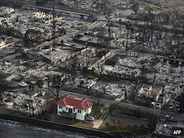 How Did Viral Red-Roofed House Survive Hawaii Wildfires? Owner Explains How Did Viral Red-Roofed House Survive Hawaii Wildfires? Owner Explains
