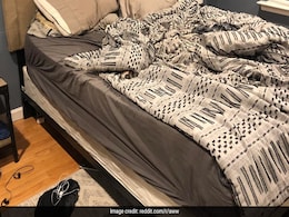 क्या बाज़ जैसी तेज़ हैं आपकी नज़रें, तो इस तस्वीर में छिपे कुत्ते को 5 सेकंड में ढूंढिए क्या बाज़ जैसी तेज़ हैं आपकी नज़रें, तो इस तस्वीर में छिपे कुत्ते को 5 सेकंड में ढूंढिए