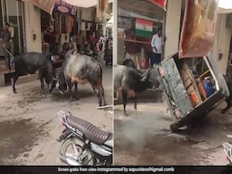 इसे कहते हैं आ बैल मुझे मार, दो बैलों की लड़ाई में ऑटो लेकर कूद पड़ा शख्स, लेकिन तभी.. इसे कहते हैं आ बैल मुझे मार, दो बैलों की लड़ाई में ऑटो लेकर कूद पड़ा शख्स, लेकिन तभी..