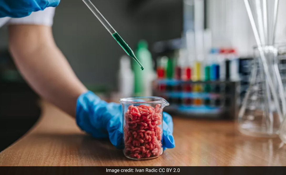 Can Lab-Grown Meat Satisfy India's Growing Food Needs?