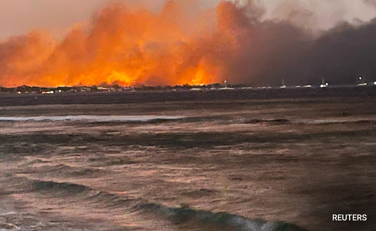 "Saw Flames, It Was Coming For Us": 106 Killed As Wildfires Rage In US' Hawaii