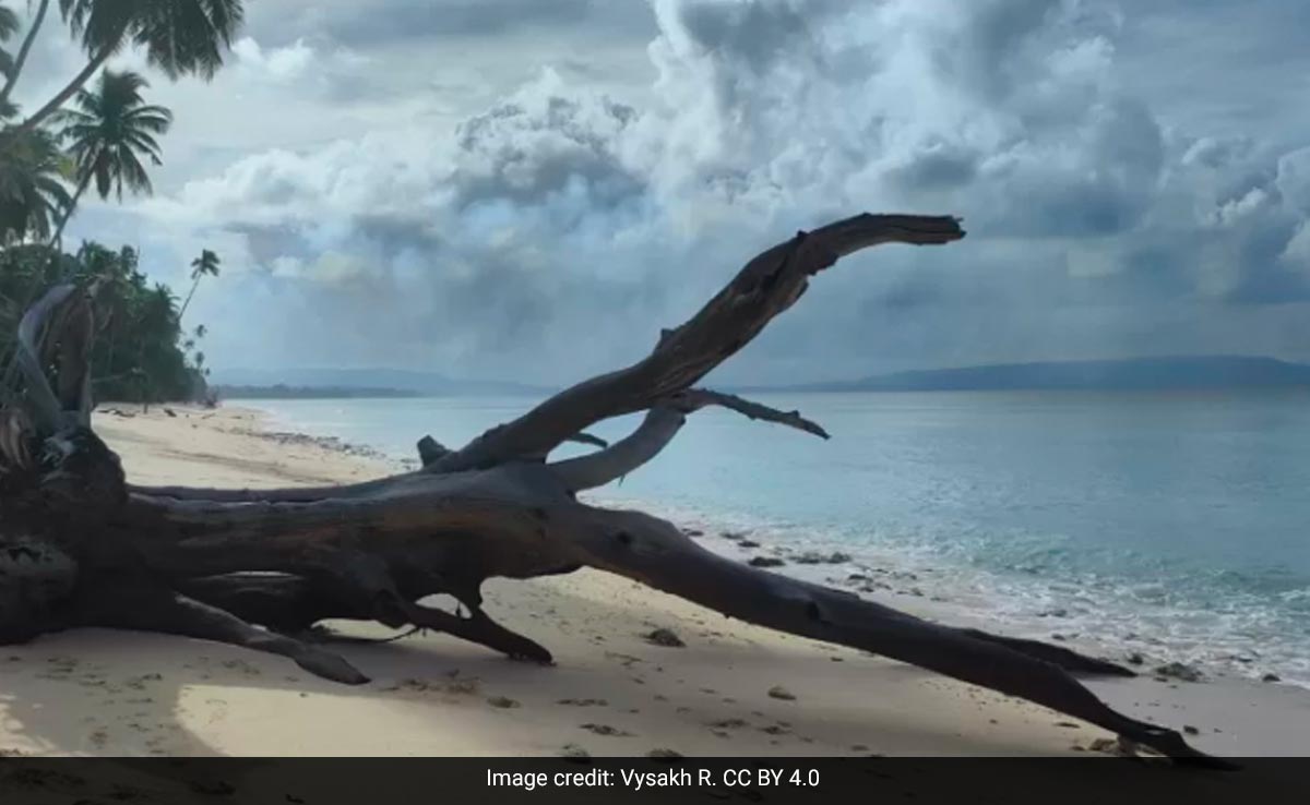 Tsunami Pushes Native Language To The Brink On This Island