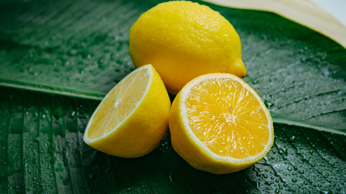 Lemon Health Benefits: स्किन, हेयर और शरीर को हेल्दी रखने के लिए कैसे करें  नींबू का इस्तेमाल, यहां जानें सब... | Lemon Health Benefits: Lemon Uses And  Benefits for Skin, Health And