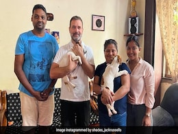 Rahul Gandhi Returns To Delhi With Jack Russell Terrier Puppy From Goa Rahul Gandhi Returns To Delhi With Jack Russell Terrier Puppy From Goa