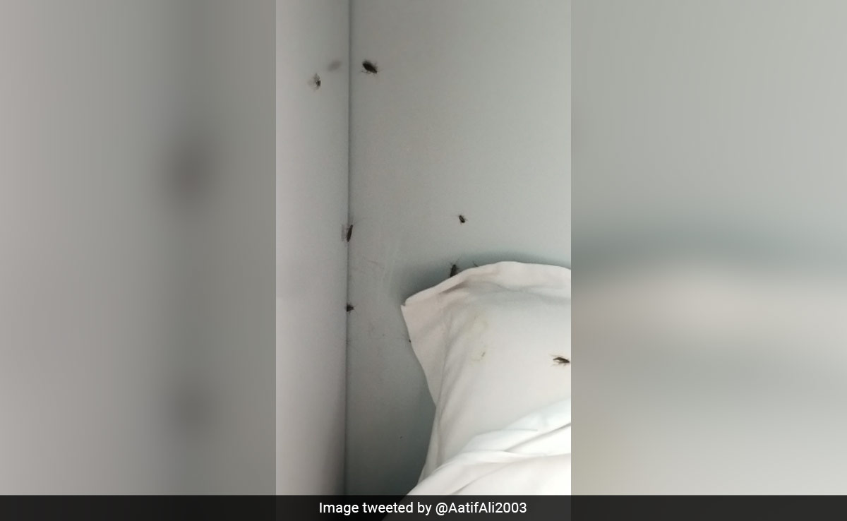 Man Shares Pic Of Cockroaches Crawling Over His Train Seat, Railways Responds