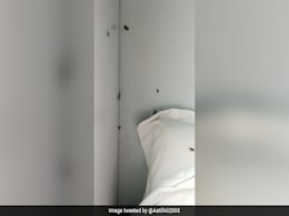 यात्री ने ट्रेन की सीट पर रेंग रहे कॉकरोच की तस्वीर शेयर की, तो रेलवे ने दी सफाई यात्री ने ट्रेन की सीट पर रेंग रहे कॉकरोच की तस्वीर शेयर की, तो रेलवे ने दी सफाई