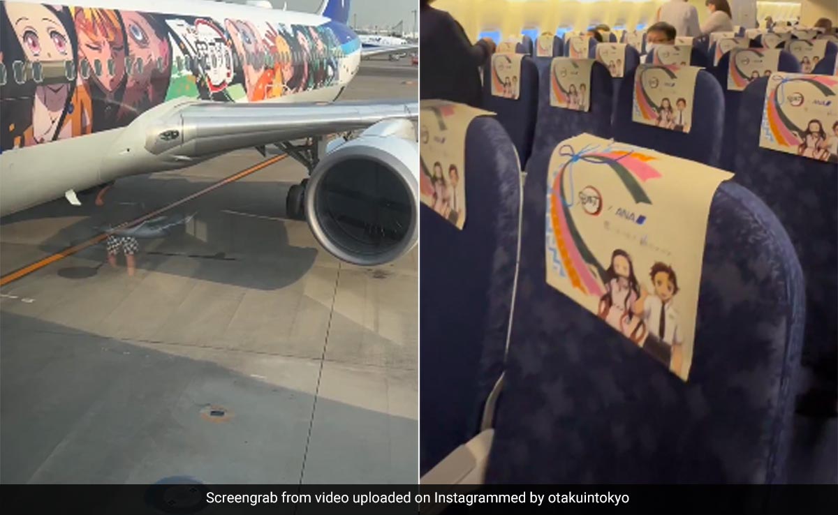Watch: Demon Slayer-Inspired Planes In Japan Delight Anime Lovers, Internet Calls It ''So Cool''