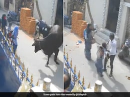 Owner Of Cow That Attacked, Tossed Schoolgirl In Chennai Arrested Owner Of Cow That Attacked, Tossed Schoolgirl In Chennai Arrested