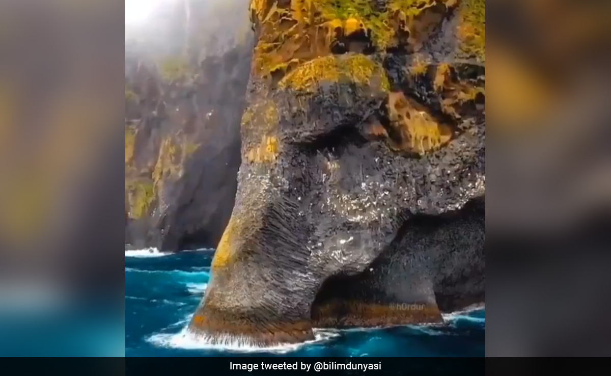 हाथी की तरह दिखाई देता है यह द्वीप, वीडियो में शानदार नजारा देख कंफ्यूज हुई पब्लिक