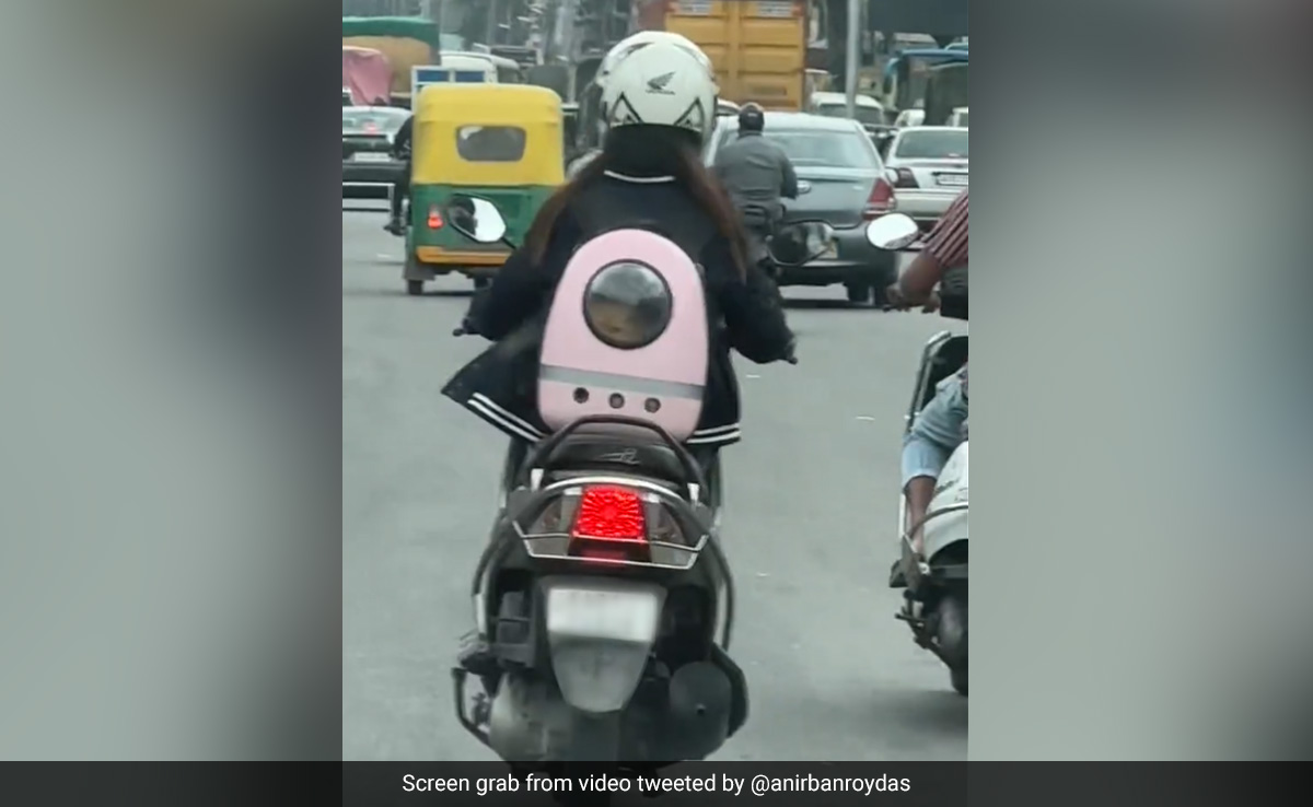 Video: Bengaluru Woman Shows Best Option Of Pet Care During Work Hours