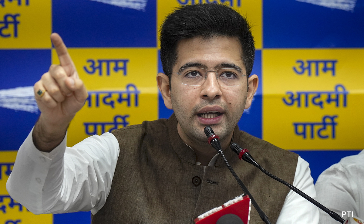 "If I Organise Birthday Party...": Raghav Chadha's Analogy On "Forgery" Row