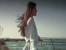 How Bhringraj Is The Hair Superhero That Will Make Your Tresses Thick And Long How Bhringraj Is The Hair Superhero That Will Make Your Tresses Thick And Long