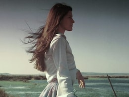 Hair Care Tips: रूखे बालों की समस्या से हैं परेशान तो इस घरेलू उपाय का ऐसे करें इस्तेमाल Hair Care Tips: रूखे बालों की समस्या से हैं परेशान तो इस घरेलू उपाय का ऐसे करें इस्तेमाल