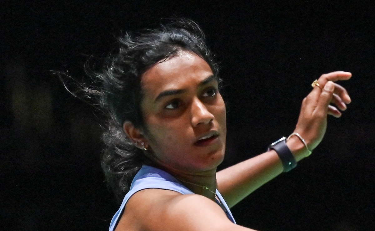 PV Sindhu Prepares Comeback, Adds This Badminton Great To Coaching Staff