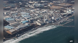 Slightly Radioactive Fukushima Soil To Be Used In Prime Minister's Garden