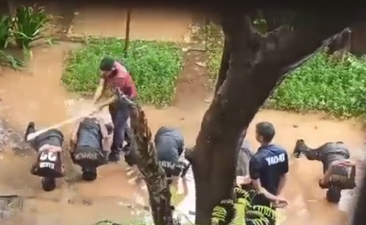Video: NCC Cadets, Face Down In Puddle Amid Rain, Thrashed By Senior