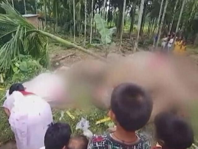 3 Elephants Die Due To Electrocution In Assam's Kamrup District