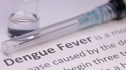 Dietitian's Picks: The 5 Must-Have Foods For A Speedy Dengue Recovery
