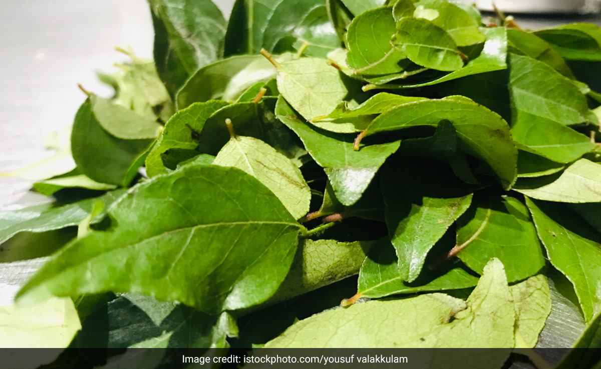 बालों की काया पलट सकते हैं करी पत्ते, बस इन 2 चीजों को मिलाकर लगा लीजिए Curry Leaves  बालों की काया पलट सकते हैं करी पत्ते, बस इन 2 चीजों को मिलाकर लगा लीजिए Curry Leaves