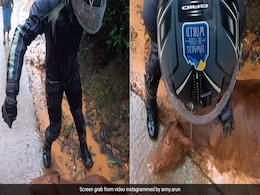 कीचड़ में फंस गई थी गाय, बाइकर ने बारिश के बीच रुककर ऐसे बचाई जानवर की जान कीचड़ में फंस गई थी गाय, बाइकर ने बारिश के बीच रुककर ऐसे बचाई जानवर की जान