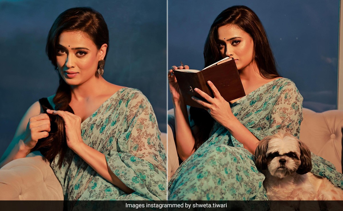 Shweta Tiwari's Printed Chiffon <i>Saree</i> Transports Us To Retro Bollywood