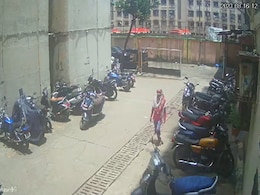 Video: Woman Approaches Neighbour's Dog, Pours Acid On It. Reason Is... Video: Woman Approaches Neighbour's Dog, Pours Acid On It. Reason Is...