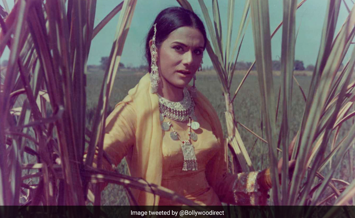 सिर्फ सात फिल्मों से ही बॉलीवुड का बन गईं यादगार नाम, लेकिन 63 साल की उम्र में हो गया इस एक्ट्रेस का कत्ल