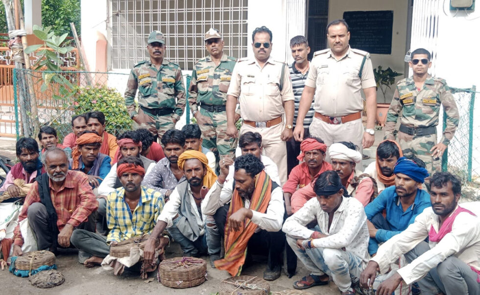 सागर: नाग पंचमी के दिन एक्शन में विभाग, पिटारों में सांप लेकर घूम रहे 27 सपेरों को पकड़ा