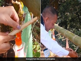 जुगाड़ करके बांस से बना दिया नैचुरल वॉशबेसिन, नागालैंड के मंत्री ने शेयर किया Video, क्या आपने देखा? जुगाड़ करके बांस से बना दिया नैचुरल वॉशबेसिन, नागालैंड के मंत्री ने शेयर किया Video, क्या आपने देखा?