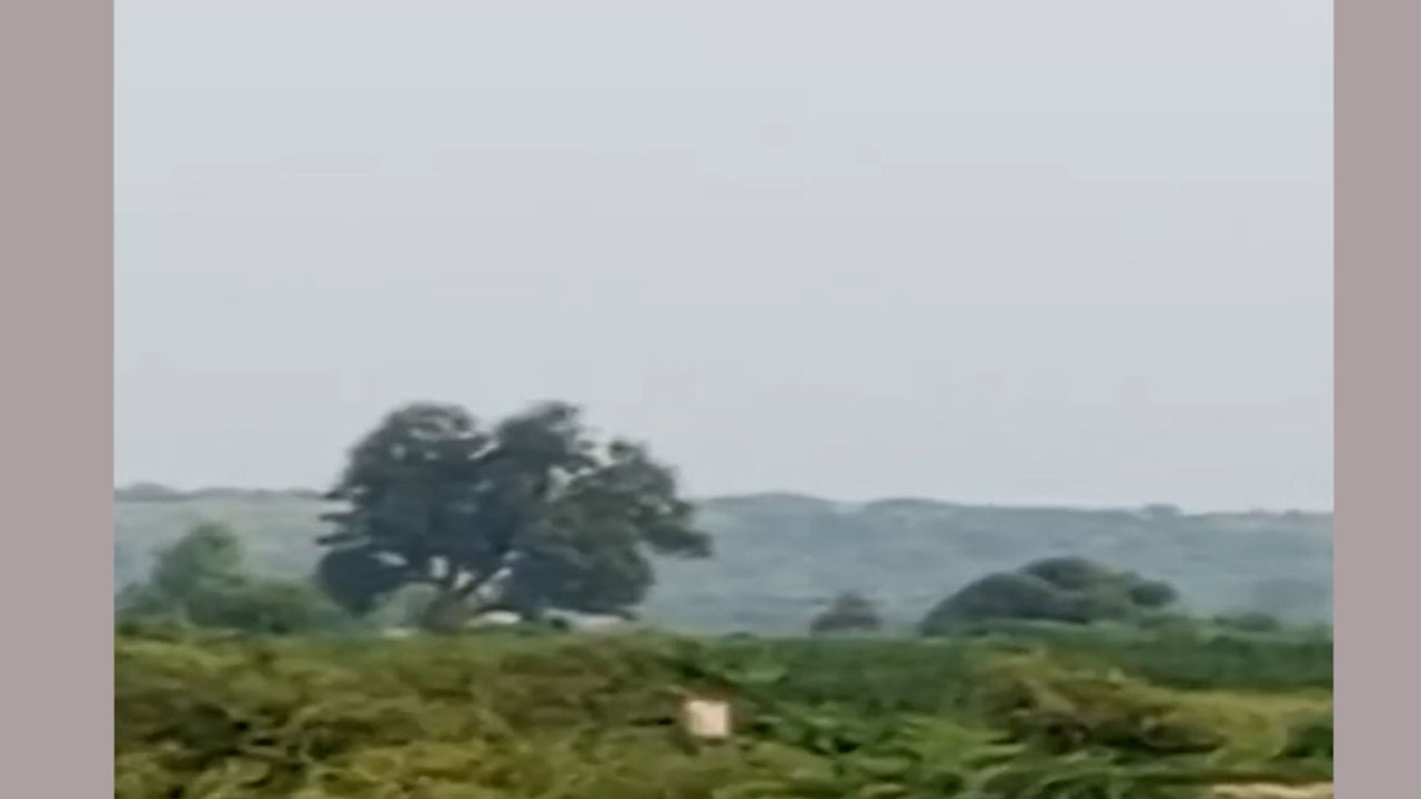 मध्य प्रदेश के मुरैना में ज़मीन को लेकर हुए विवाद में दो लोग घायल