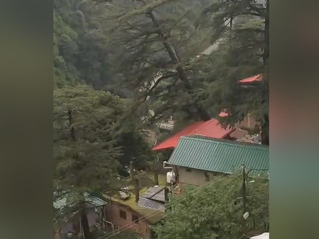 Video: Landslide Washes Away 4 Houses Perched On Hillside In Shimla