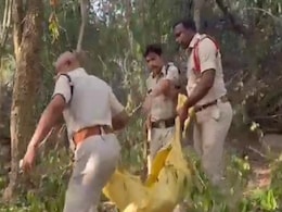 Girl, 6, Killed In Suspected Animal Attack On Way To Tirupati Temple Girl, 6, Killed In Suspected Animal Attack On Way To Tirupati Temple