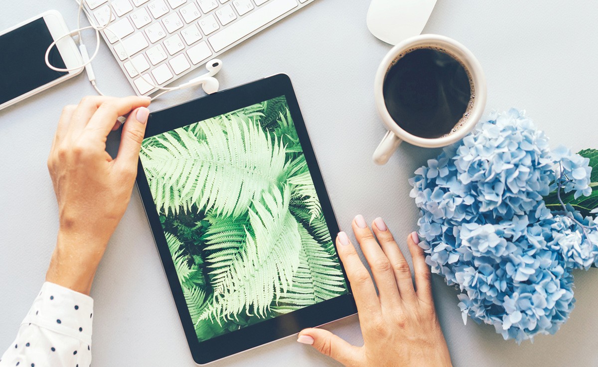 Amazon Great Freedom Sale 2023: Unbelievable Discounts On Tablets From The Best Brands Like Lenovo, Motorola, And More