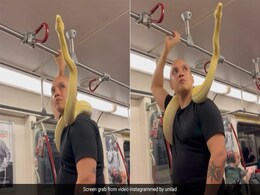 गले में सांप लपेटकर मेट्रो में घूम रहा था शख्स, Video देख खड़े हो जाएंगे रोंगटे गले में सांप लपेटकर मेट्रो में घूम रहा था शख्स, Video देख खड़े हो जाएंगे रोंगटे