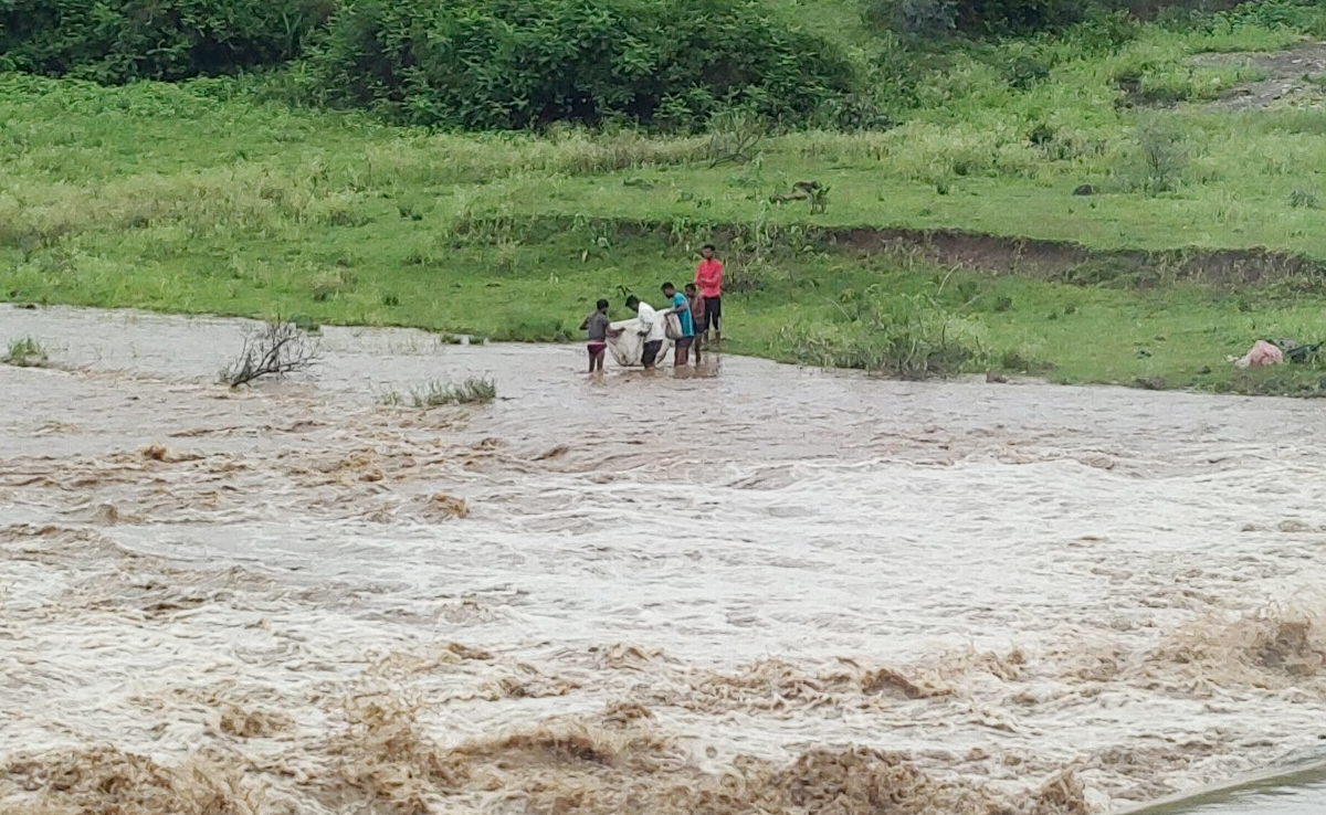 अनूपपुर: जोहिला नदी उफान पर, जान जोखिम में डालकर मछली पकड़ने पहुंच रहे लोग