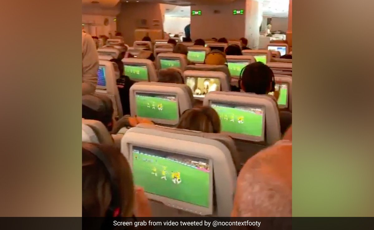 Entire Plane, Barring One Fan, Celebrates As Australia Qualify For Women's FIFA World Cup Semis. Watch