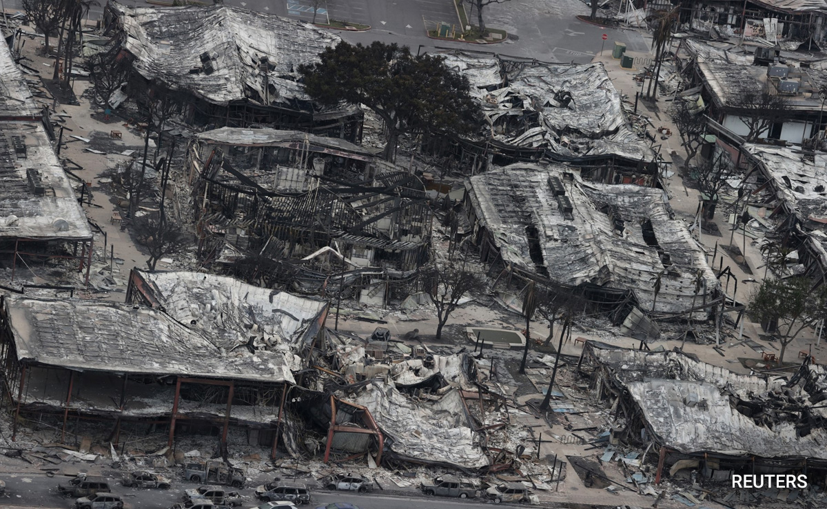 Hawaii Wildfires: She Requested Flight Change, Lost Lakhs Without Giving Credit Card Details