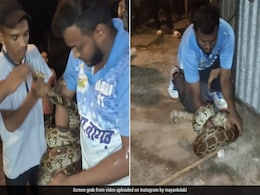 शख्स के हाथ से बुरी तरह लिपट गया अजगर, फिर शख्स ने ऐसे दबोचा सांप का जबड़ा, देखकर खड़े हो जाएंगे रोंगटे शख्स के हाथ से बुरी तरह लिपट गया अजगर, फिर शख्स ने ऐसे दबोचा सांप का जबड़ा, देखकर खड़े हो जाएंगे रोंगटे