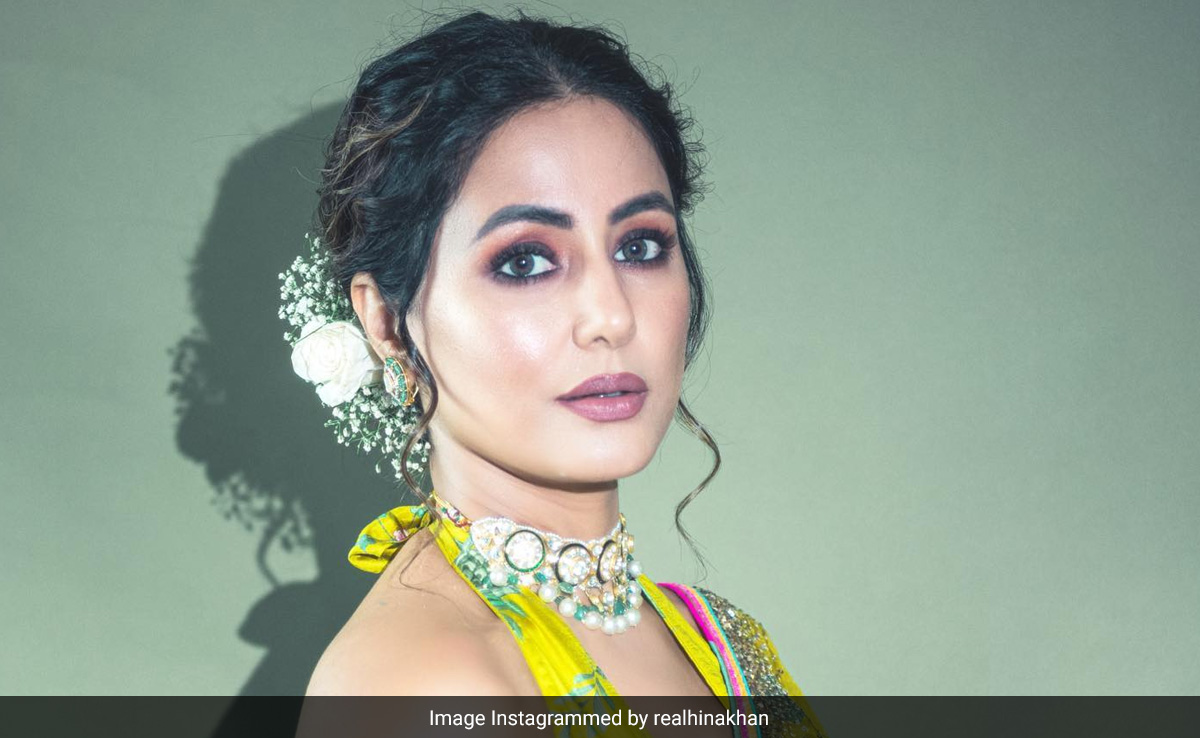 Hina Khan's Boss Reply To Tweet Advising Her To Buy A Blue Tick