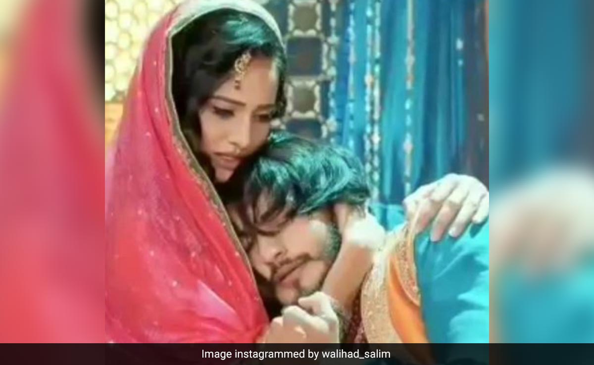 'जोधा अकबर' की 'अनारकली' का 8 साल में बदला लुक, हीना परमार की तस्वीरें देख फैंस कहेंगे- क्या ये हैं सलीम की जान