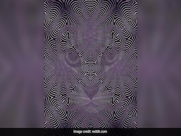 क्या आप इस तस्वीर में छिपे जानवर को पहचान सकते हैं? 10 सेकंड में दिया जवाब तो कहलाएंगे स्मार्ट क्या आप इस तस्वीर में छिपे जानवर को पहचान सकते हैं? 10 सेकंड में दिया जवाब तो कहलाएंगे स्मार्ट